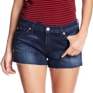 Hudson Kenzie Cutoff Shorts / Size: 30 / Dark Wash / Summer / Streetwear